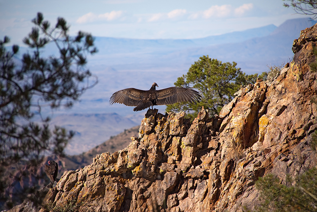 27_Big Bend National Park_05.jpg